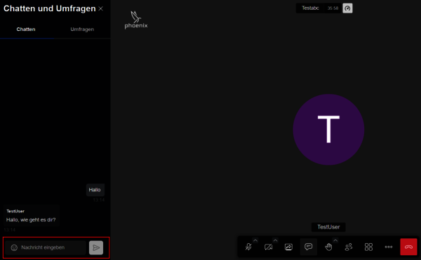 Chat-Fenster: Nachricht eingeben Chat-Fenster: Nachricht eingeben